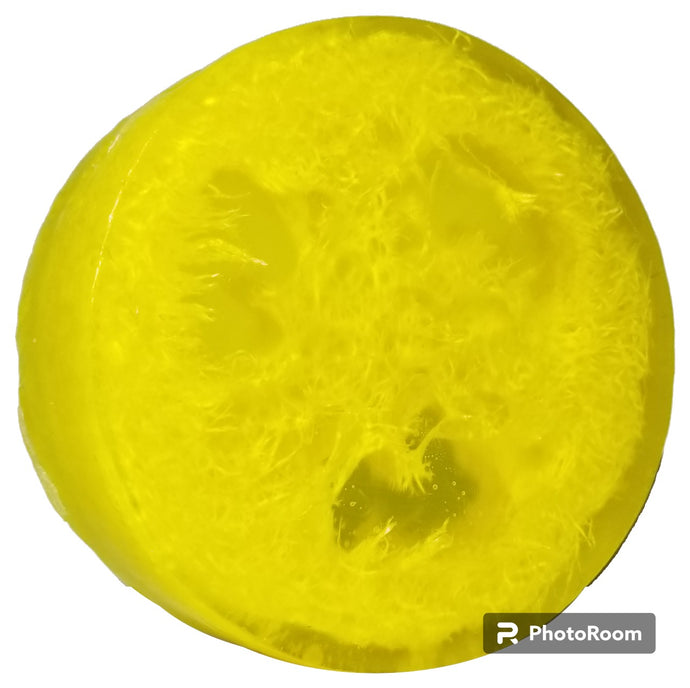 Lemon Sage Loofah Bar