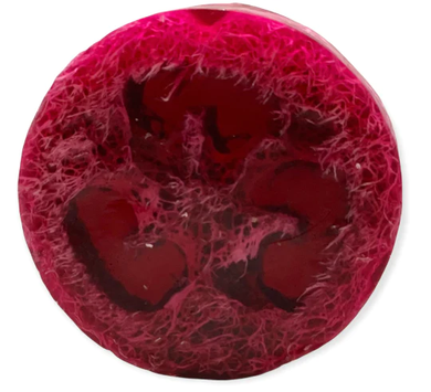 Warm Vanilla Loofah Bar   BEST SELLER
