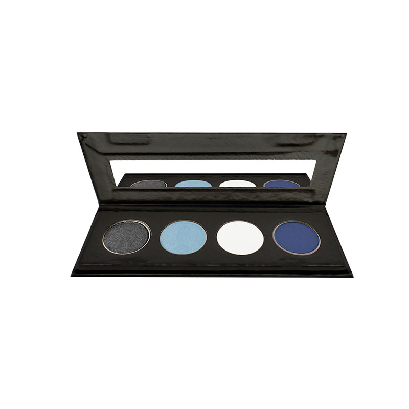 Frozen 4 Pan Palette